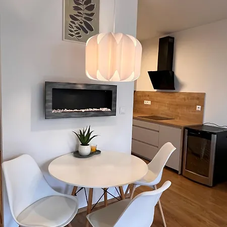 아파트 Luxury Close To Centre, Vusch Private Parking Included *