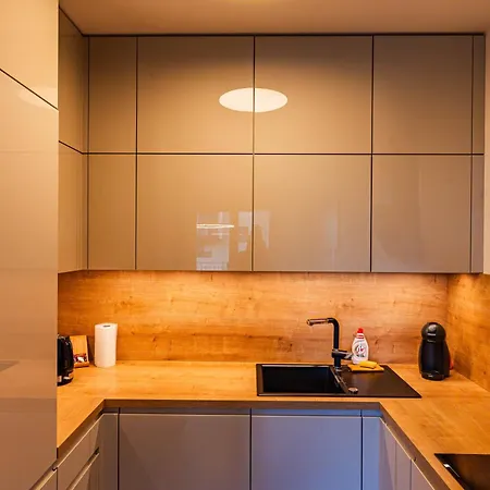 Luxury Close To Centre, Vusch Private Parking Included