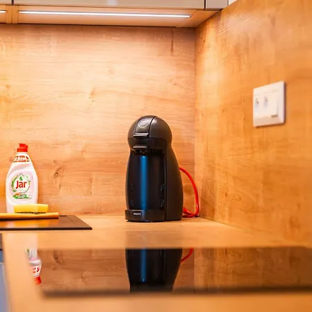 Luxury Close To Centre, Vusch Private Parking Included