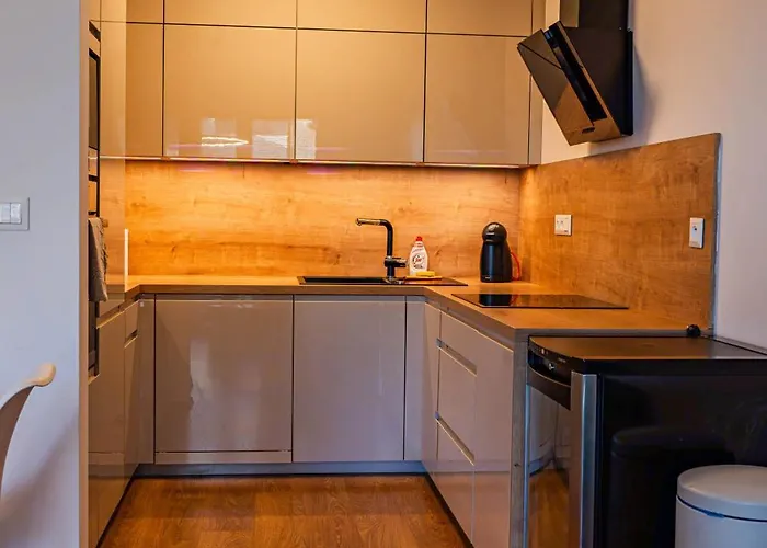 Luxury Close To Centre, Vusch Private Parking Included * Koszyce